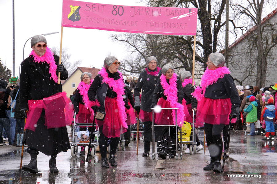 2009-02-24_088_Faschingszug