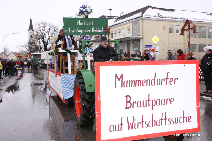 2009-02-24_097_Faschingszug