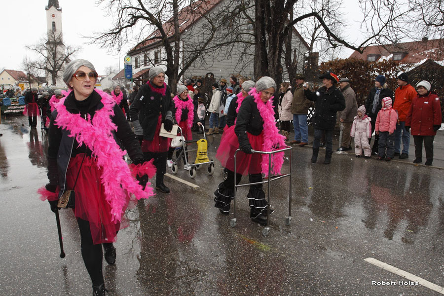 2009-02-24_238_Faschingszug