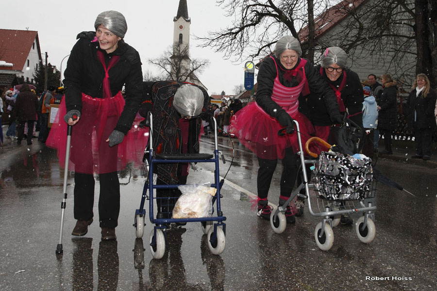 2009-02-24_239_Faschingszug