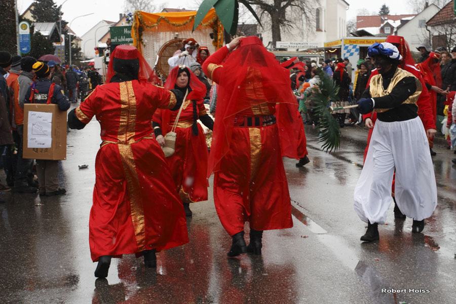 2009-02-24_245_Faschingszug