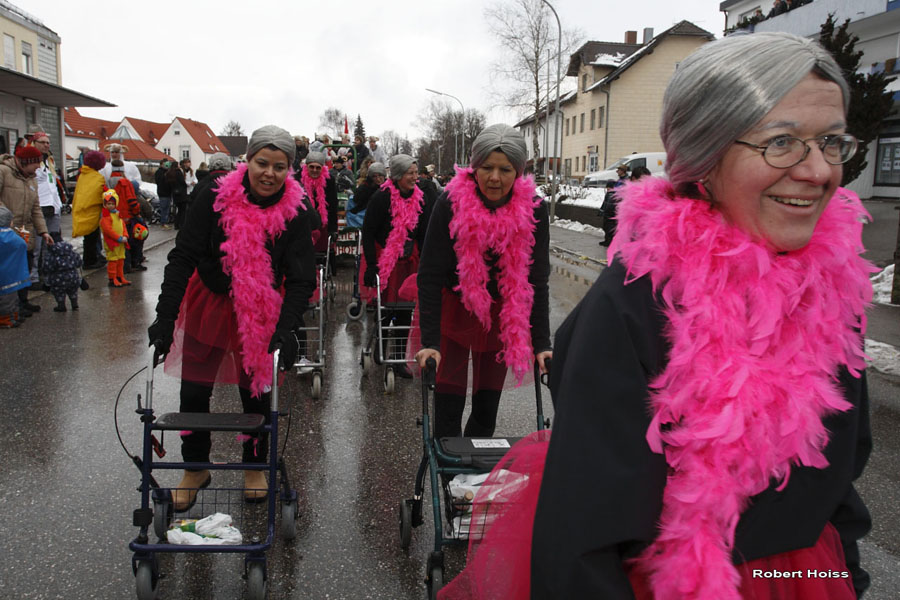2009-02-24_355_Faschingszug