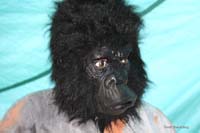 2009-02-24_141_Faschingszug