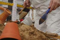 2009-02-24_178_Faschingszug