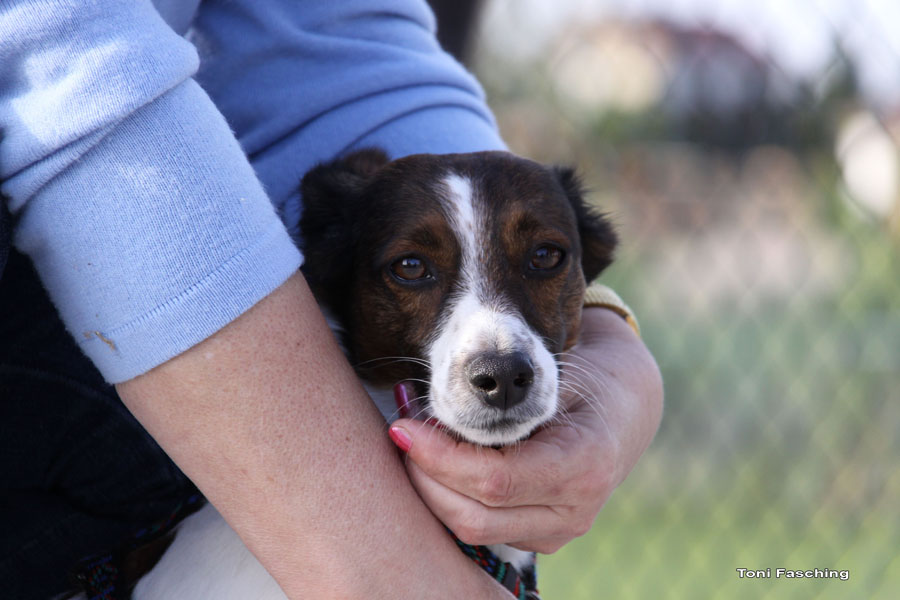 2009-04-25_17_Tennisplatz_Richtfest