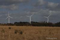 2009-09-04_198_Brem-sur-Mer