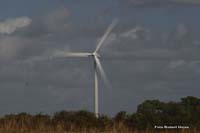 2009-09-04_199_Brem-sur-Mer