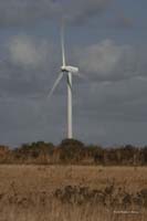 2009-09-04_200_Brem-sur-Mer