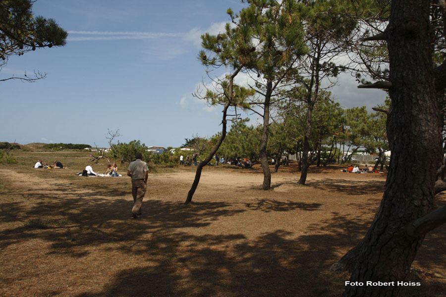 2009-09-05_088_Brem_sur_Mer