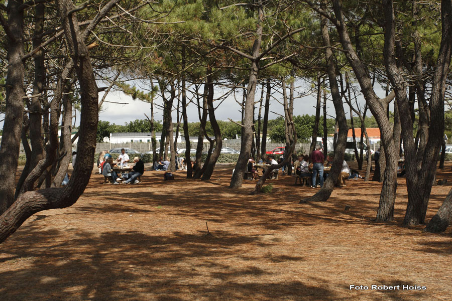 2009-09-05_089_Brem_sur_Mer