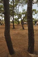 2009-09-05_095_Brem_sur_Mer